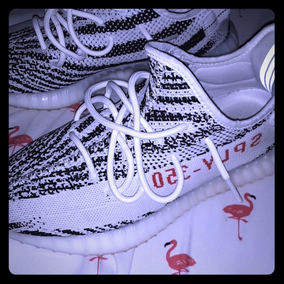 Zebra yeezys - Picture 1 of 1